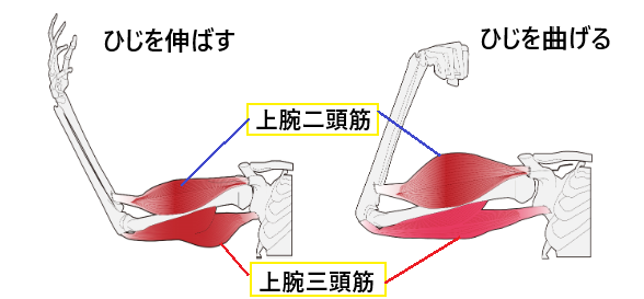 ファーストステージ